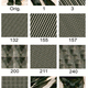 Image for article titled The Secret Pattern that Converts Chaos into Cat Pictures